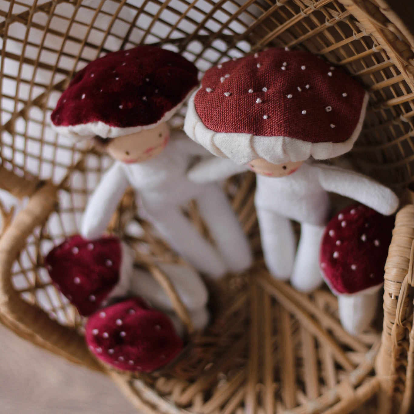 Workshop * Little Mushroom